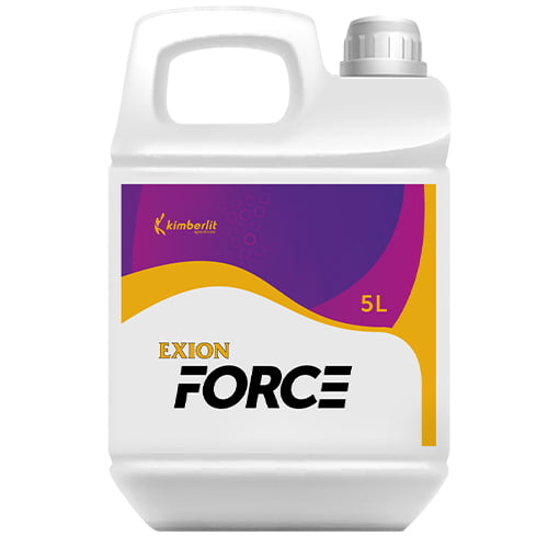 exion-force-kimberlit