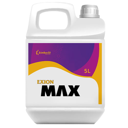 exion-max-kimberlit