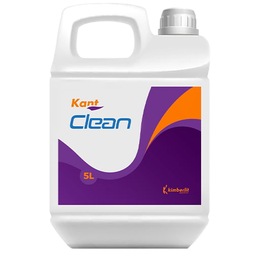 kant-clean-kimberlit