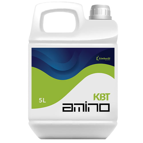 kbt-amino-kimberlit
