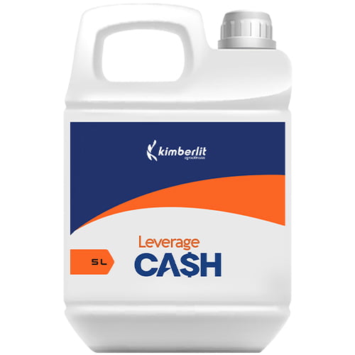 leverage-cash-kimberlit