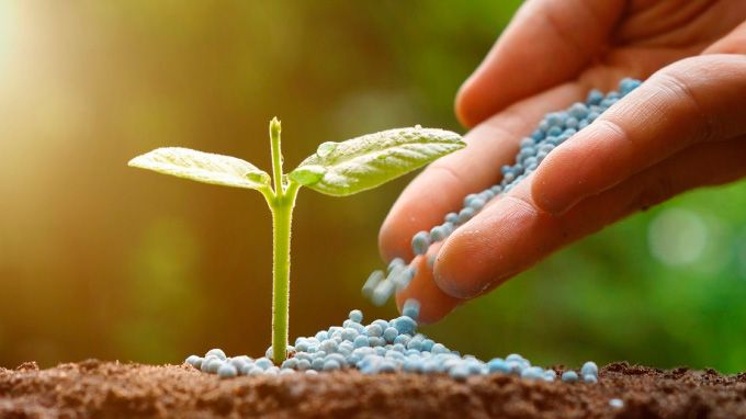 O cenário dos fertilizantes, tecnologias e alternativas